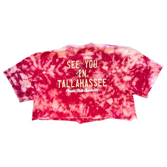 Florida State Seminole Bound Bleached Crop Top Tee - Picture 2 of 3